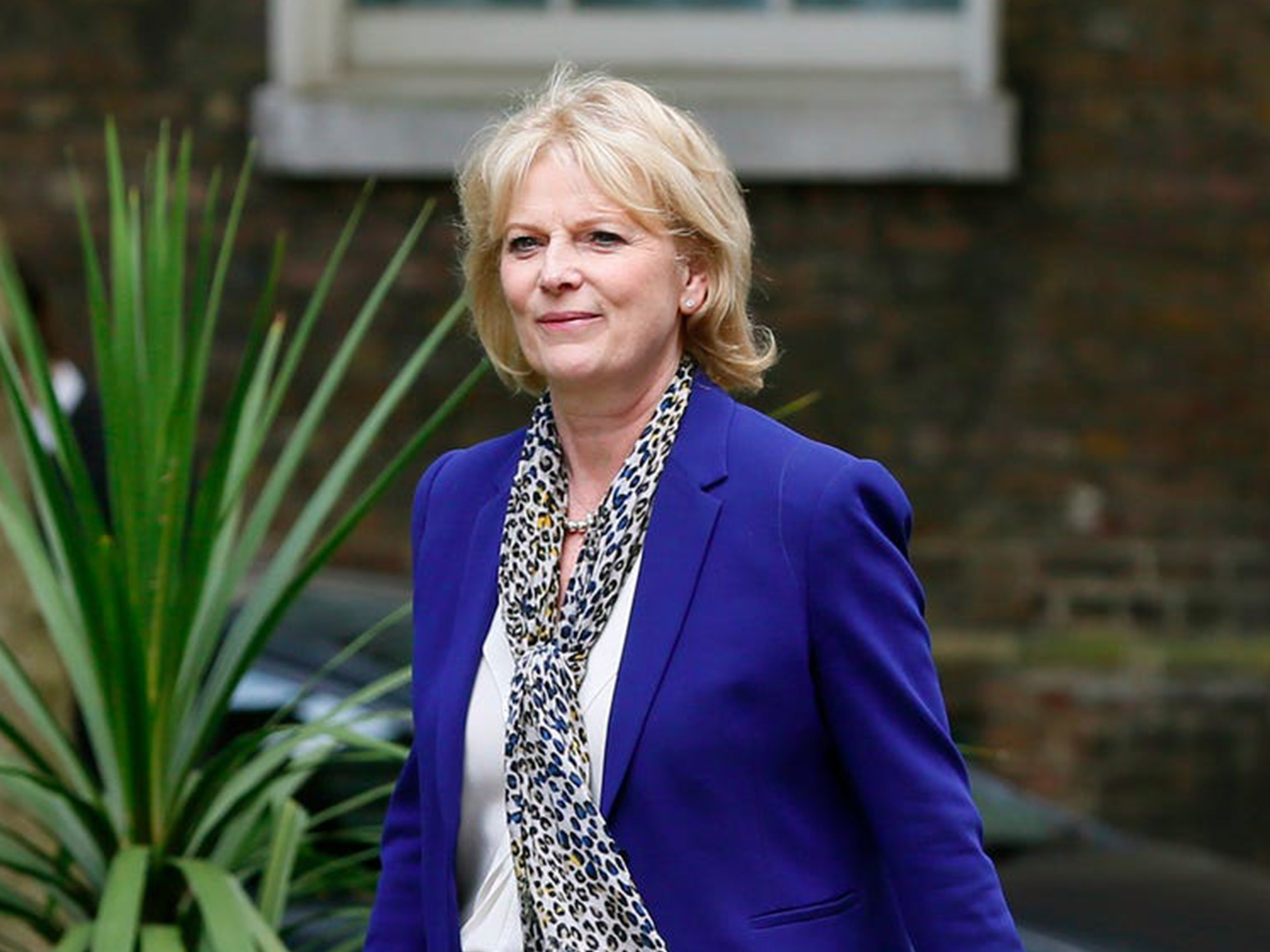 Anna Soubry